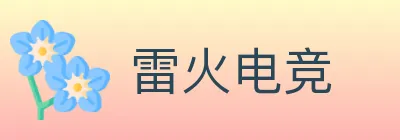 雷火电竞 Logo